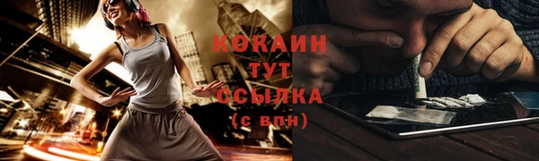 твердый Касимов