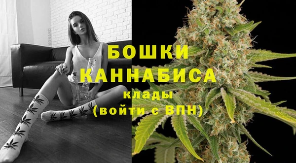 apvp Карпинск