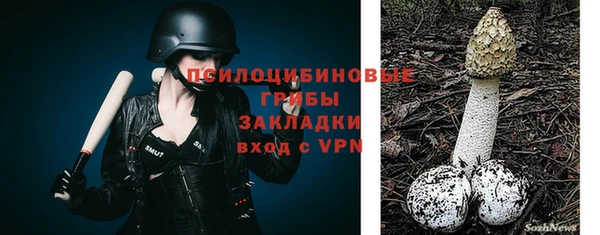 apvp Карпинск