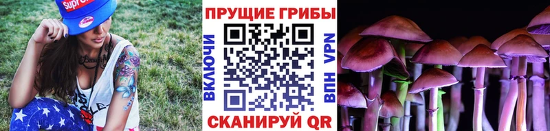Купить закладки  Волчанск  Псилоцибиновые грибы ЛСД 